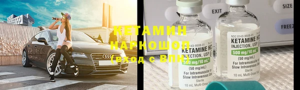 гашик Алексин