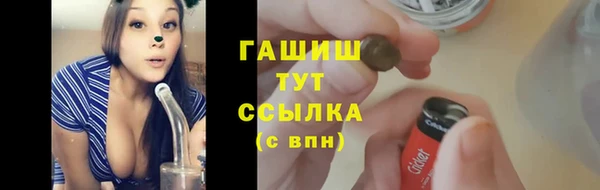 гашик Алексин