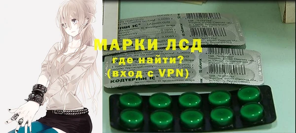 гашик Алексин