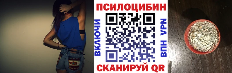 Галлюциногенные грибы MAGIC MUSHROOMS  где купить наркоту  Новоульяновск 